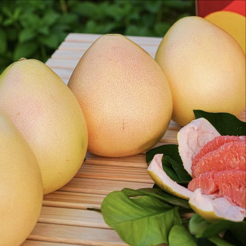 廣西容縣沙田柚 自家果園直供，品質(zhì)正宗，批發(fā)價(jià)3.50元/斤